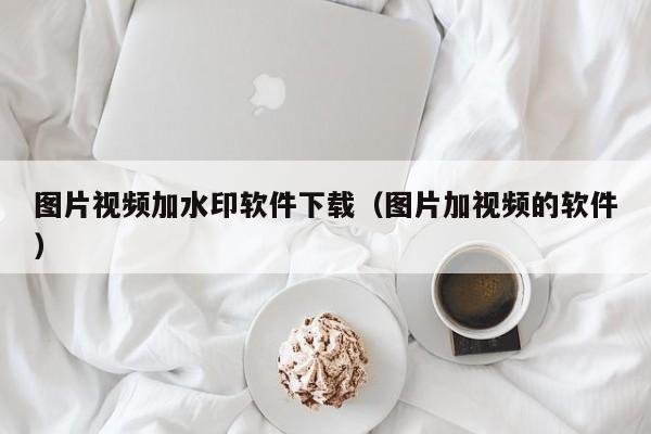 图片视频加水印软件下载（图片加视频的软件）