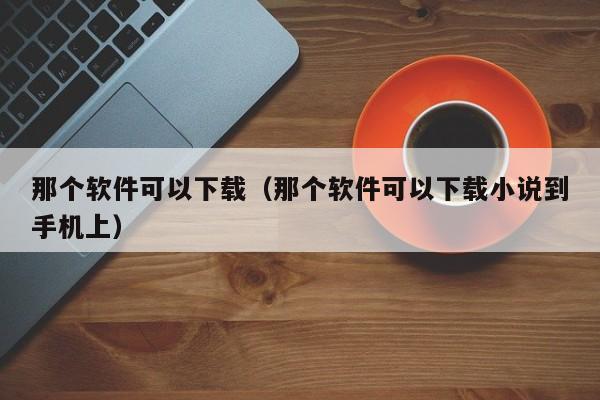 那个软件可以下载（那个软件可以下载小说到手机上）