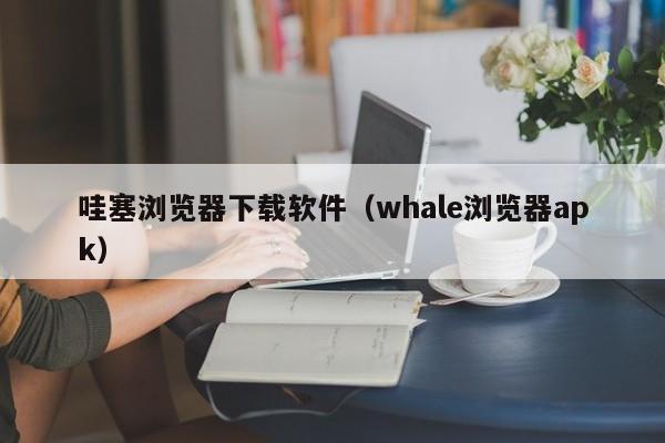 哇塞浏览器下载软件（whale浏览器apk）