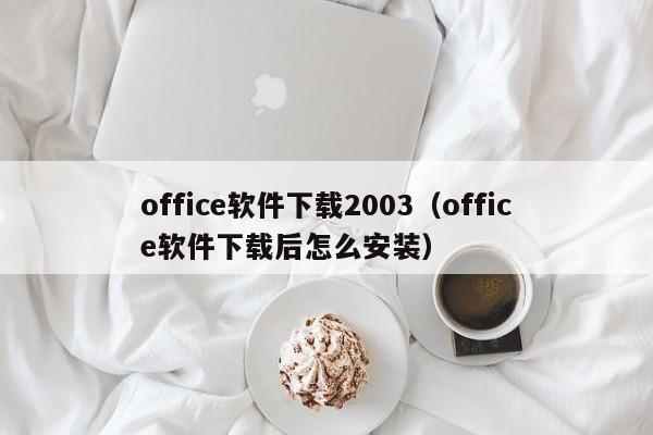 office软件下载2003（office软件下载后怎么安装）