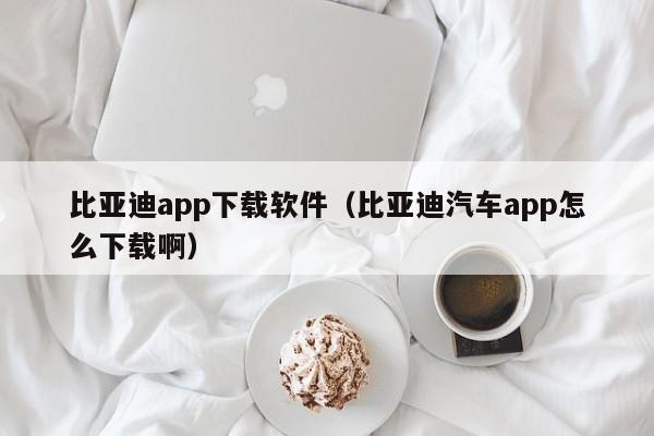 比亚迪app下载软件（比亚迪汽车app怎么下载啊）