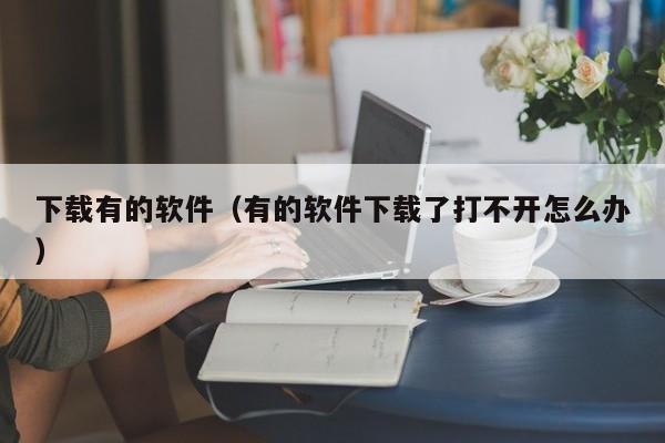 下载有的软件（有的软件下载了打不开怎么办）