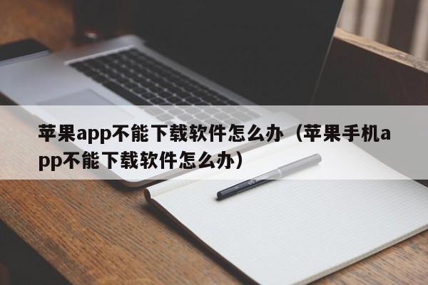 苹果app不能下载软件怎么办（苹果手机app不能下载软件怎么办）