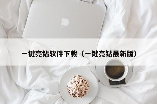 一键亮钻软件下载（一键亮钻最新版）