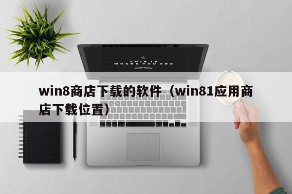 win8商店下载的软件（win81应用商店下载位置）