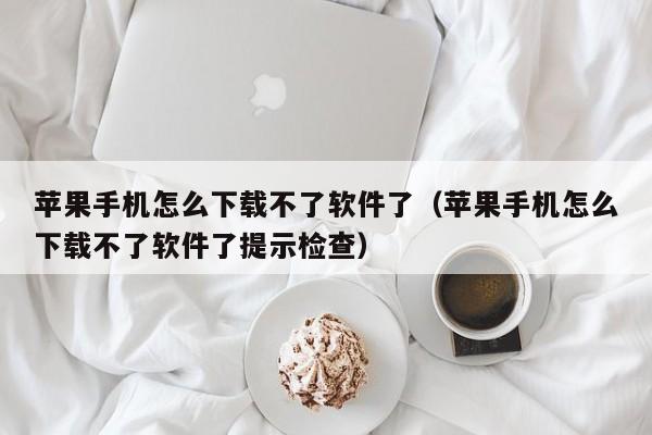 苹果手机怎么下载不了软件了（苹果手机怎么下载不了软件了提示检查）