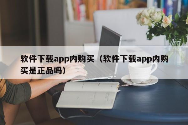 软件下载app内购买（软件下载app内购买是正品吗）