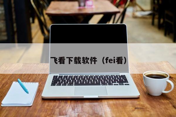 飞看下载软件（fei看）