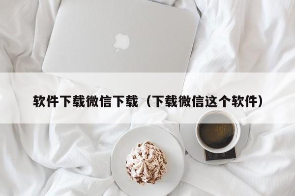 软件下载微信下载（下载微信这个软件）
