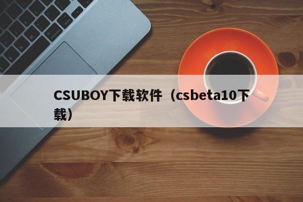 CSUBOY下载软件（csbeta10下载）