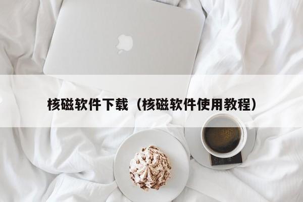 核磁软件下载（核磁软件使用教程）