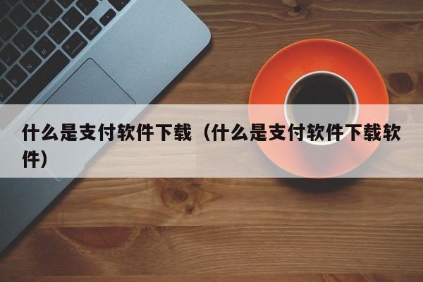 什么是支付软件下载（什么是支付软件下载软件）