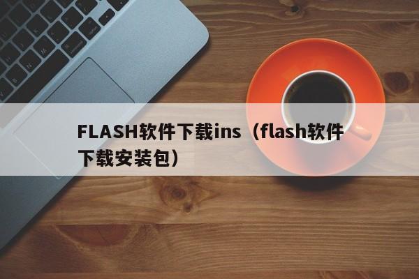 FLASH软件下载ins（flash软件下载安装包）