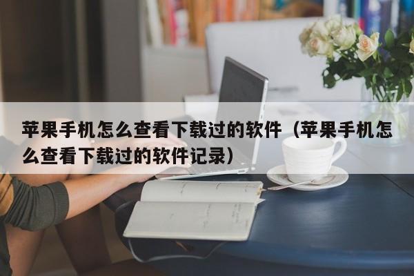 苹果手机怎么查看下载过的软件（苹果手机怎么查看下载过的软件记录）