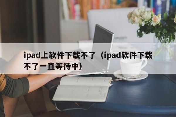 ipad上软件下载不了（ipad软件下载不了一直等待中）