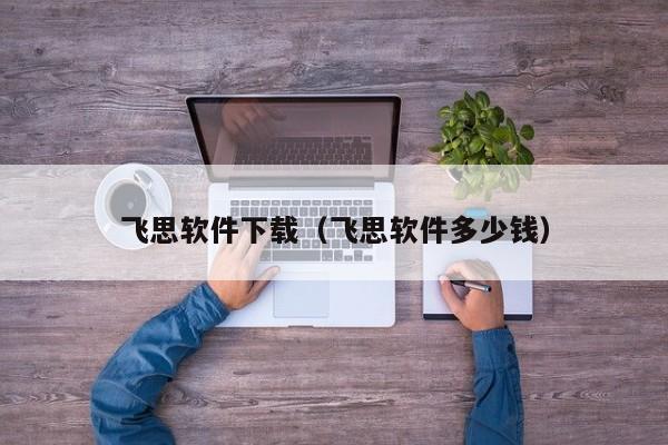 飞思软件下载（飞思软件多少钱）