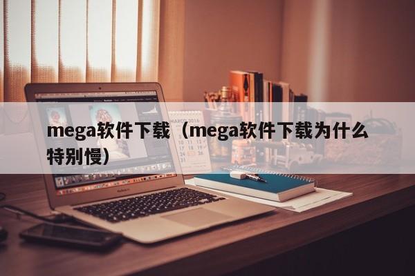 mega软件下载(mega软件下载为什么特别慢)