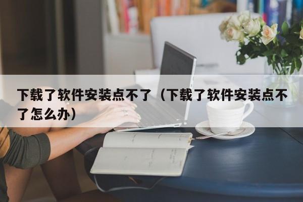 下载了软件安装点不了（下载了软件安装点不了怎么办）