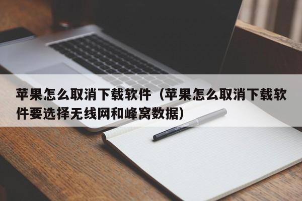 苹果怎么取消下载软件（苹果怎么取消下载软件要选择无线网和峰窝数据）