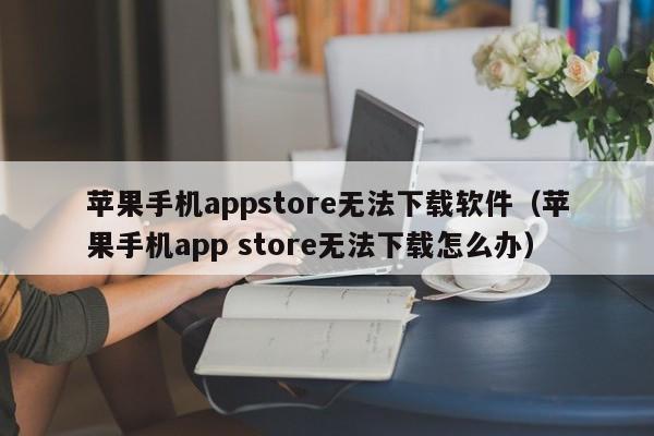 苹果手机appstore无法下载软件（苹果手机app store无法下载怎么办）