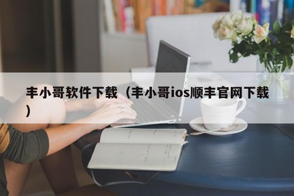 丰小哥软件下载（丰小哥ios顺丰官网下载）