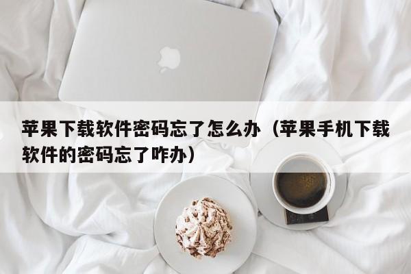 苹果下载软件密码忘了怎么办（苹果手机下载软件的密码忘了咋办）