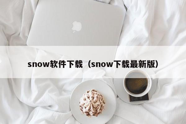 snow软件下载(snow下载最新版)