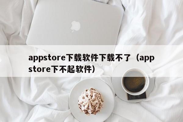 appstore下载软件下载不了（appstore下不起软件）
