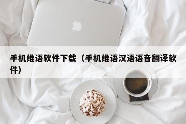 手机维语软件下载（手机维语汉语语音翻译软件）