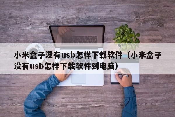 小米盒子没有usb怎样下载软件（小米盒子没有usb怎样下载软件到电脑）