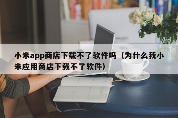 小米app商店下载不了软件吗（为什么我小米应用商店下载不了软件）