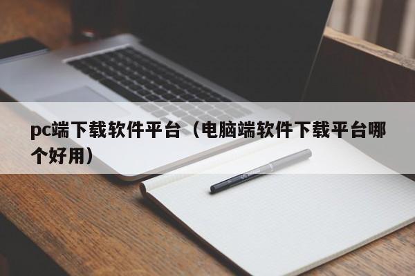 pc端下载软件平台（电脑端软件下载平台哪个好用）