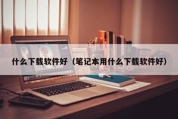 什么下载软件好（笔记本用什么下载软件好）