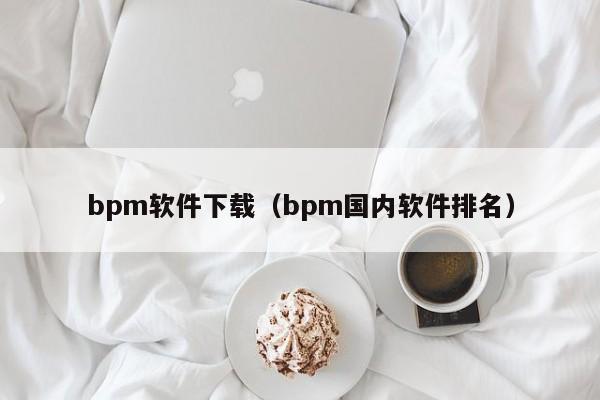 bpm软件下载（bpm国内软件排名）