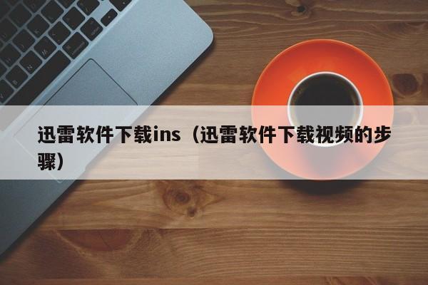 迅雷软件下载ins（迅雷软件下载视频的步骤）