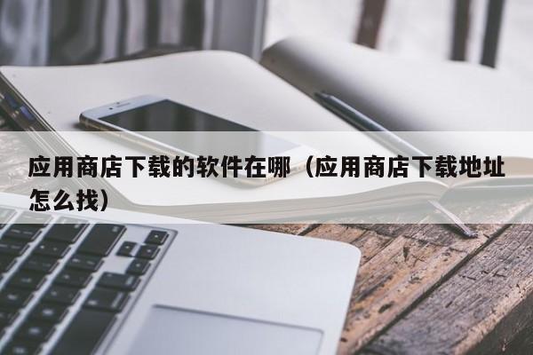 应用商店下载的软件在哪（应用商店下载地址怎么找）