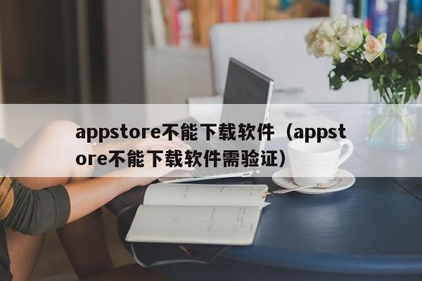 appstore不能下载软件（appstore不能下载软件需验证）