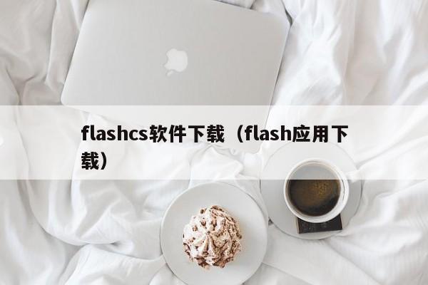 flashcs软件下载（flash应用下载）