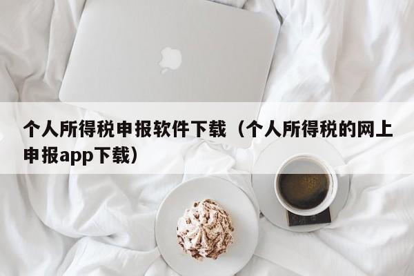 个人所得税申报软件下载（个人所得税的网上申报app下载）