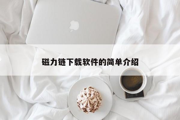 磁力链下载软件的简单介绍