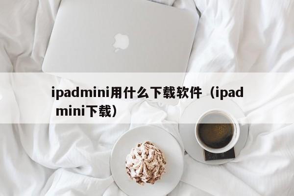 ipadmini用什么下载软件（ipad mini下载）