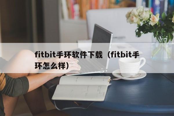 fitbit手环软件下载（fitbit手环怎么样）
