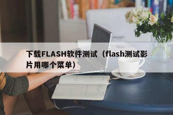 下载FLASH软件测试（flash测试影片用哪个菜单）