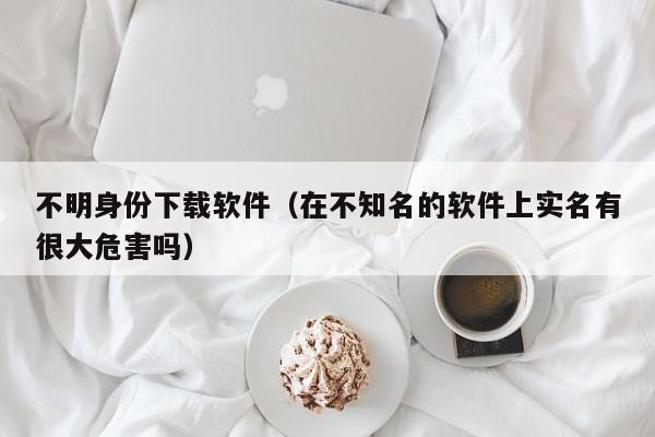 不明身份下载软件（在不知名的软件上实名有很大危害吗）