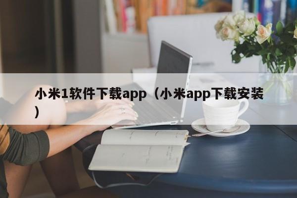 小米1软件下载app（小米app下载安装）