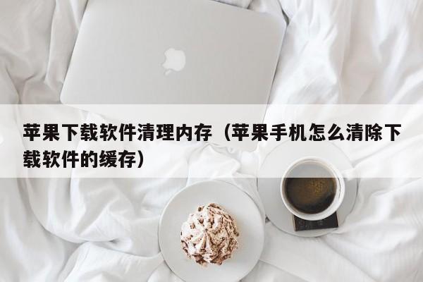 苹果下载软件清理内存（苹果手机怎么清除下载软件的缓存）