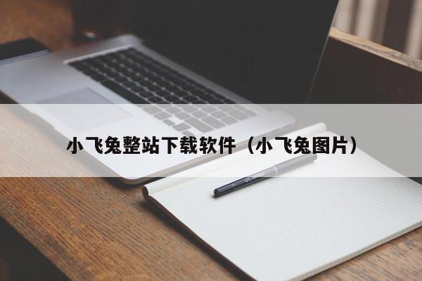 小飞兔整站下载软件（小飞兔图片）