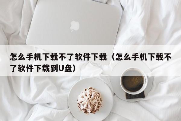 怎么手机下载不了软件下载（怎么手机下载不了软件下载到U盘）