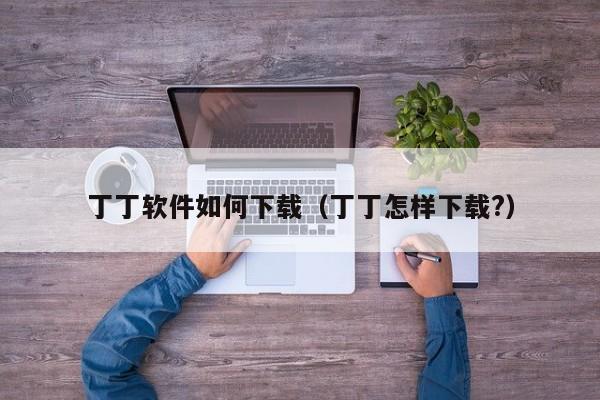 丁丁软件如何下载（丁丁怎样下载?）