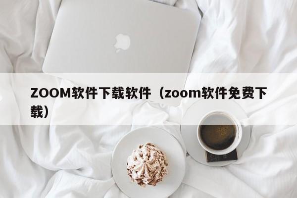 ZOOM软件下载软件（zoom软件免费下载）